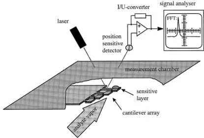 Figure I.16. Dispositif expérimental pour la détection optique [12] 