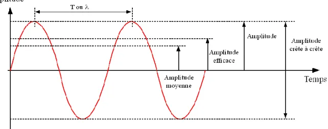 Figure 8 : Amplitude d'une onde transversale (source : Lam et Tramba, 2012). 