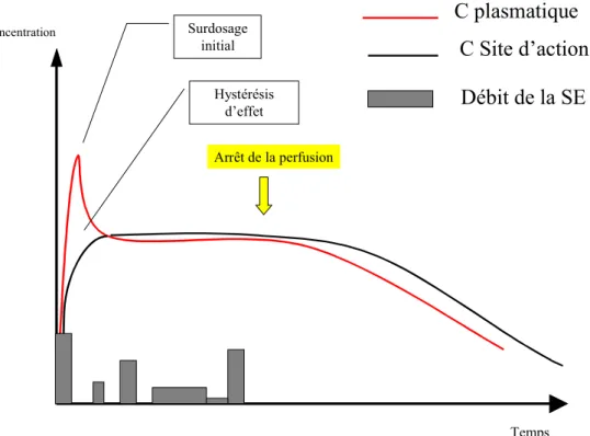 Fig. 2 Représentation graphique de l ’ administration d ’ un produit en mode d ’ anesthésie intraveineuse en objectif de concentration (AIVOC)