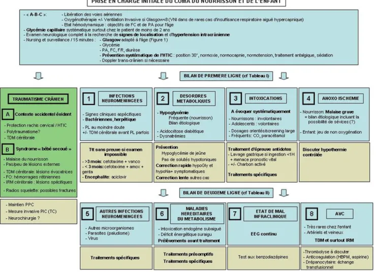 Fig. 1 Algorithme de prise en charge initiale devant un coma du nourrisson et de l ’ enfant