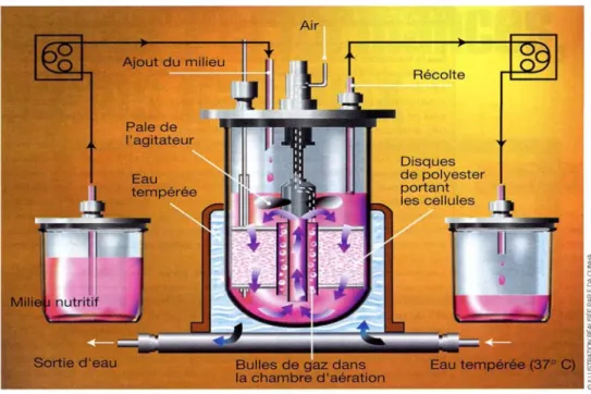 Figure n°5  : procédé Celli-Gen Plus (Emery et al., 1998) 
