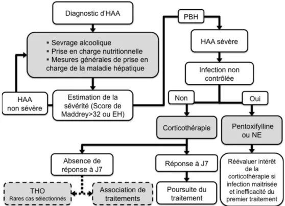 Fig. 2 Algorithme pour la prise en charge de l ’ hépatite alcoolique aiguë