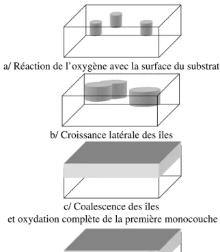 Figure I. 14 : Schématisation de la propagation de l’oxydation latérale et couche par couche [166]