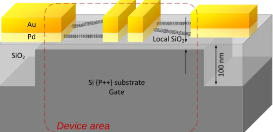 Figure 2.1 – Schéma de la configuration des échantillons de transistors montrant l’oxyde de grille  local en SiO 2.