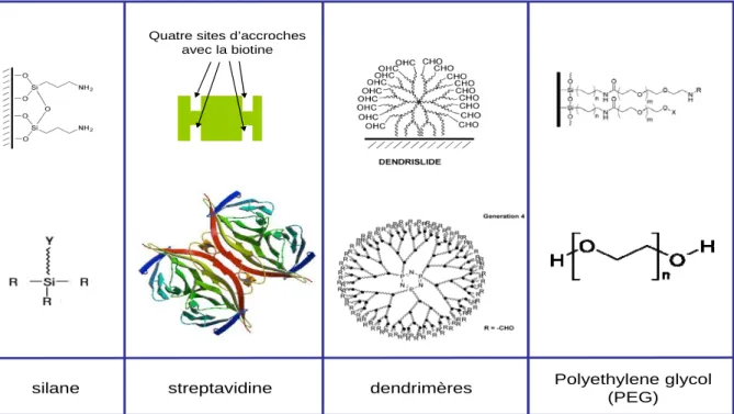 Figure 5 : quelques exemples de chimies de surface basées sur des silanes 