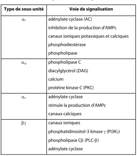 Table 1 : Sous-unités des protéines G trimériques  Type de sous-unité  Voie de signalisation 
