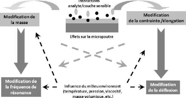 Figure 1.1  Principe de fonctionnement des microcapteurs (bio)chimiques à base de  micropoutre: mode dynamique et mode statique 