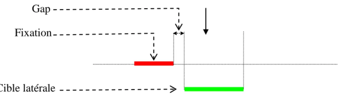 Figure 5 : Représentation schématique du paradigme antisaccade avec gap. La flèche représente le  mouvement oculaire à effectuer 