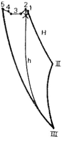 Fig. 4 : profil gauche, d'après Buch et Batarec (1989).
