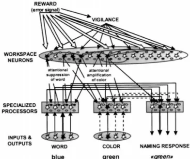 Figure  I.14.  Architecture  du  réseau  simulé  par  Dehaene  et  ses  collaborateurs