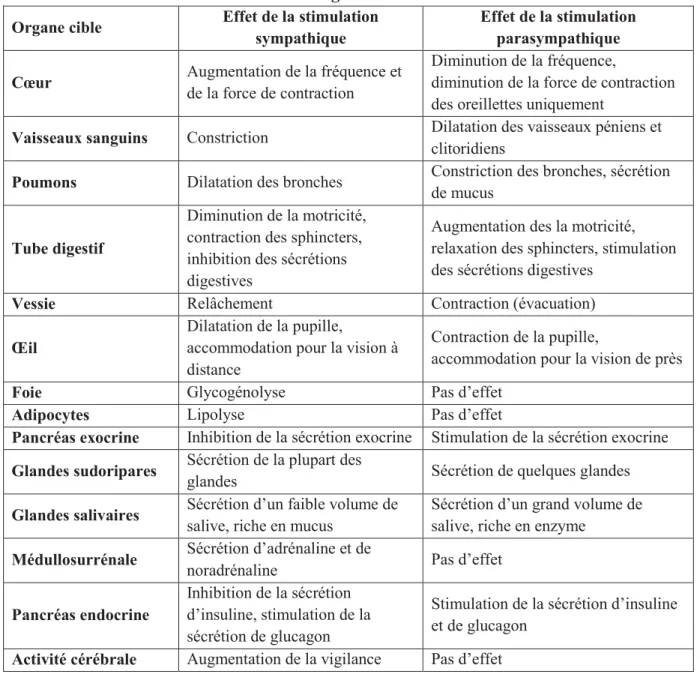 Tableau 1 : les principales fonctions du système nerveux autonome sur les organes de  l’organisme 