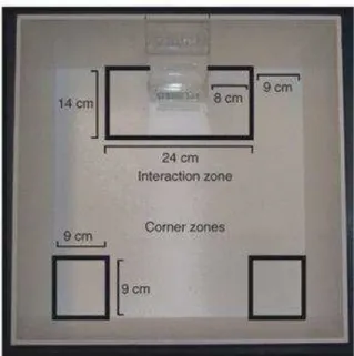 Figure 16 : Test d’interaction sociale 