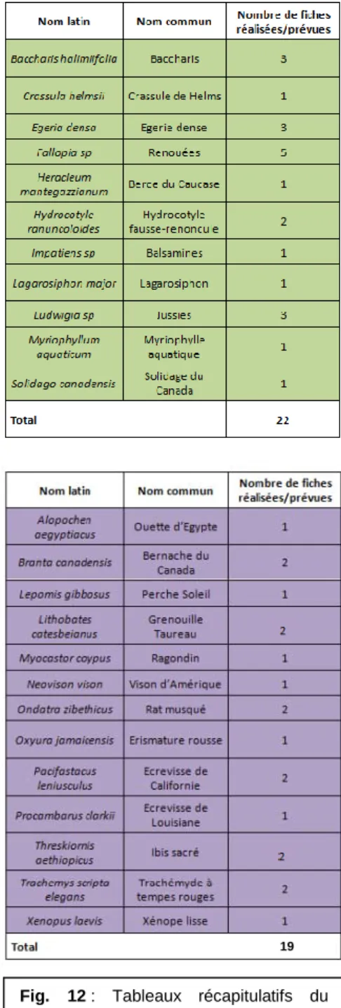 Fig.  12 :  Tableaux  récapitulatifs  du  nombre de fiches par EEE (végétales en  vert et animales en violet) 