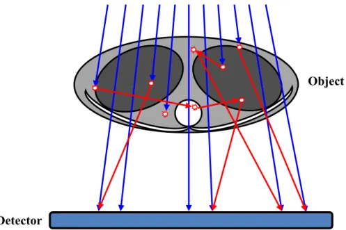 Figure 3.1. X-ray interactions in an object. Primary and scattered photons are marked in blue and  red, respectively