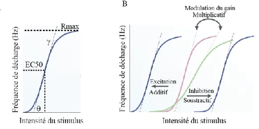 Figure 1 : Courbes représentatives des fonctions de transfert ou «courbe de gain» théoriques d’un neurone