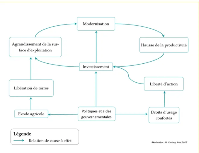 Figure 1: Schéma du développement de l'agriculture française 