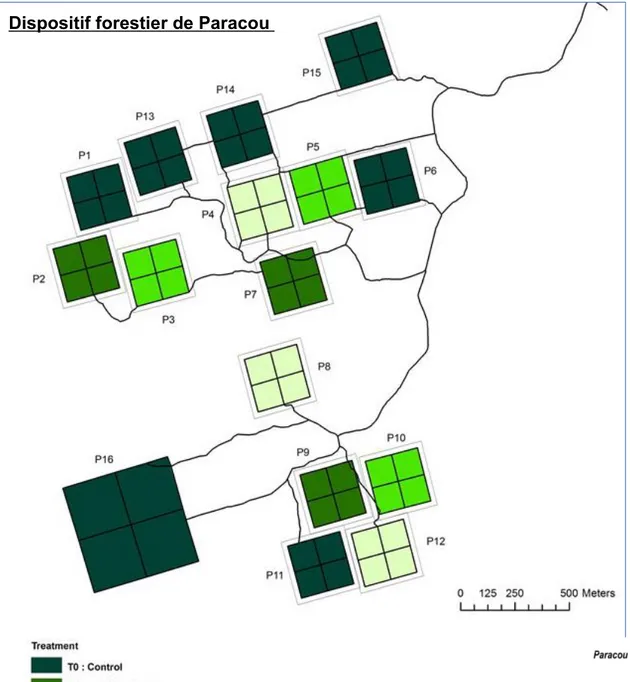 Figure 1: Zone d’étude, dispositif forestier du site de  Paracou Guyafor en Guyane française (Blanc, 2014)