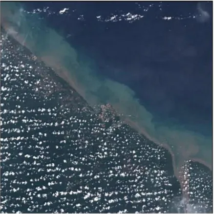 Figure 3:Aperçu d’une image Sentinel 2 couvrant une partie de la Guyane Française (Source :  CNES / PEPS)