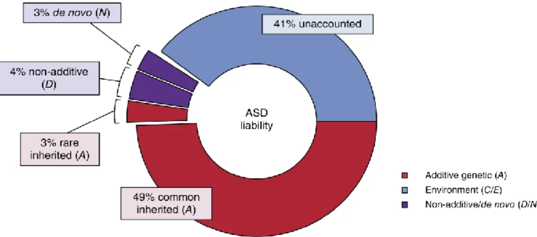 Figure 6. Contribution des facteurs génétiques et environnementaux dans les TSA 