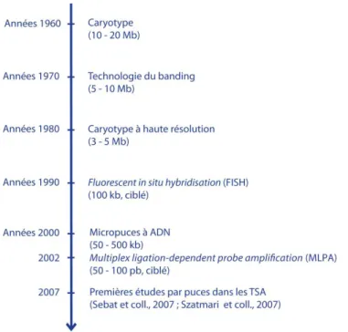 Figure 7. Evolution des techniques de détection des CNVs appliquées à la recherche étiologique dans l’autisme 