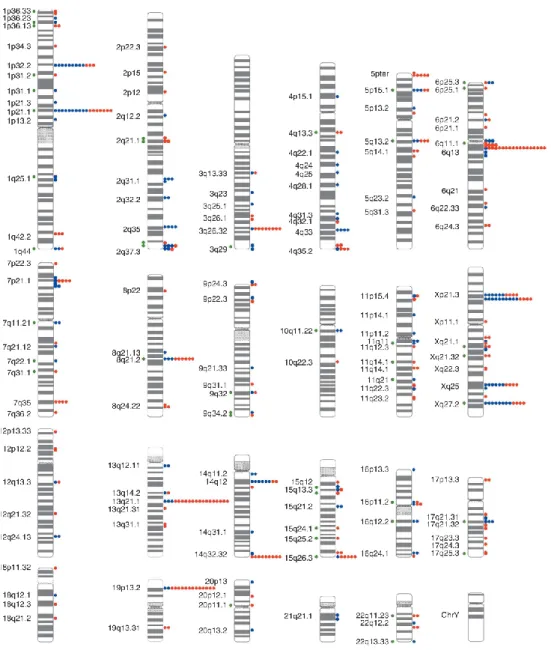 Figure 8. Polymorphismes du nombre de copies répartis sur l’ensemble du génome humain 