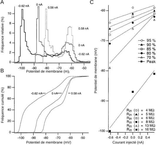 Figure 10 : Impact de l’activité synaptique sur la résistance membranaire. A,  Distribution normalisée du potentiel membranaire (Vm) spontané d’une cellule pyramidale  et à la suite de deux injections de courant (I = -0.62, 0.58 nA) chez le chat anesthésié