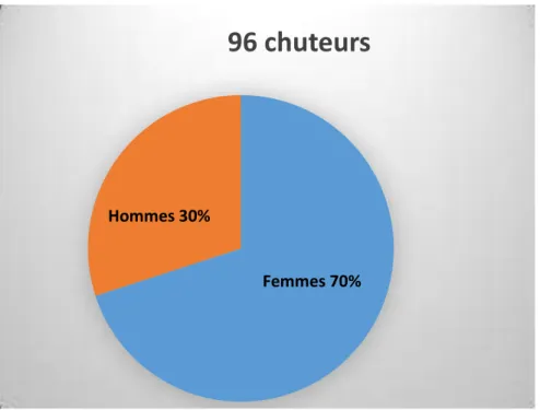Figure 1 : répartition homme/femme des chuteurs 