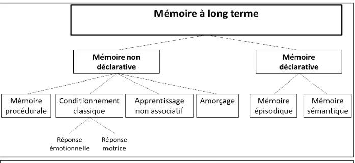 Figure 4 : Les différentes mémoires à long terme. Adapté de Milner et al. (1998) 