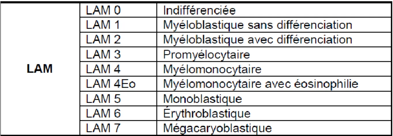 Tableau 1 : classification Franco-Américano-Britannique des leucémies aiguës  myéloïdes (d’après HAS, 2011) 