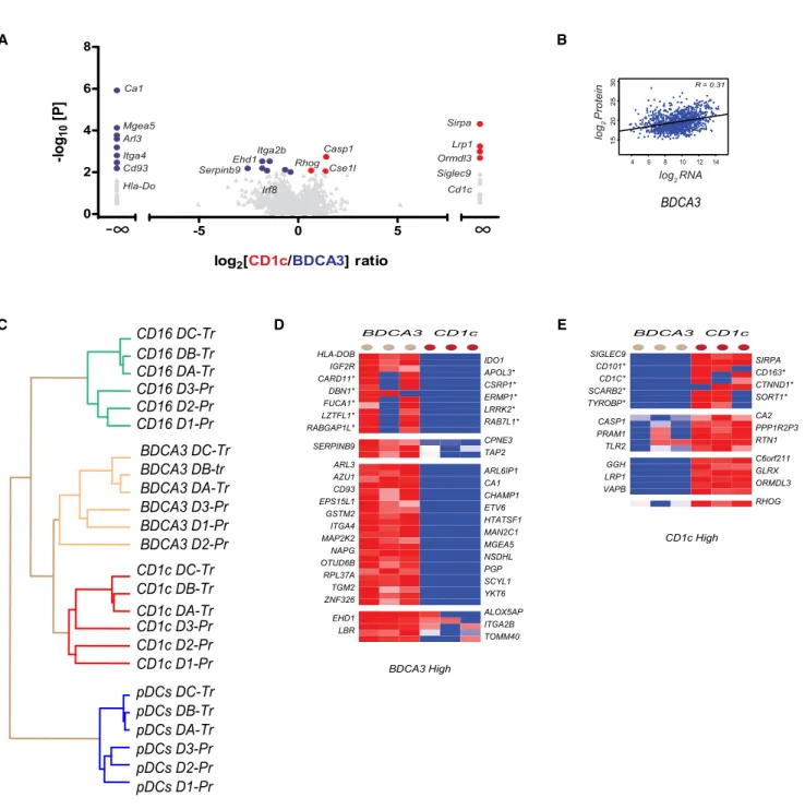 Figure 4. Pairwise Comparison of BDCA3+ mDCs and CD1c+ mDCs