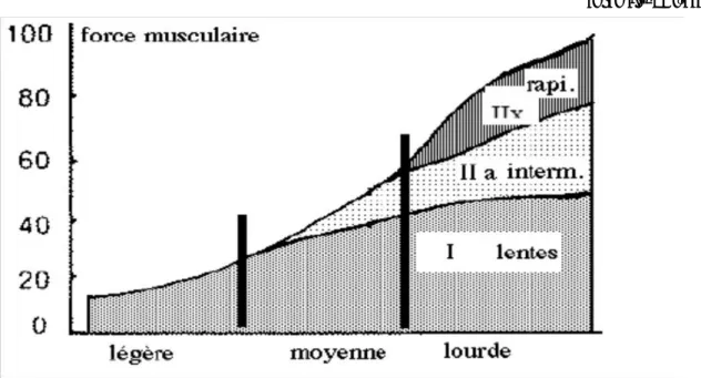 Figure 5 : le recrutement des fibres en fonction de l'intensité de la charge Costill DL ,inside running : basics of  sports physiology,Benchmars press,1986 