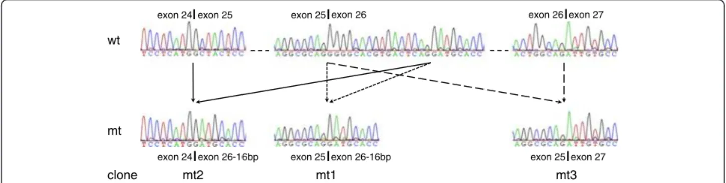 Figure 6 Expression analysis of the mutant EFTUD2 allele of patient 7 with a splice site mutation, c.2562-1G&gt;C