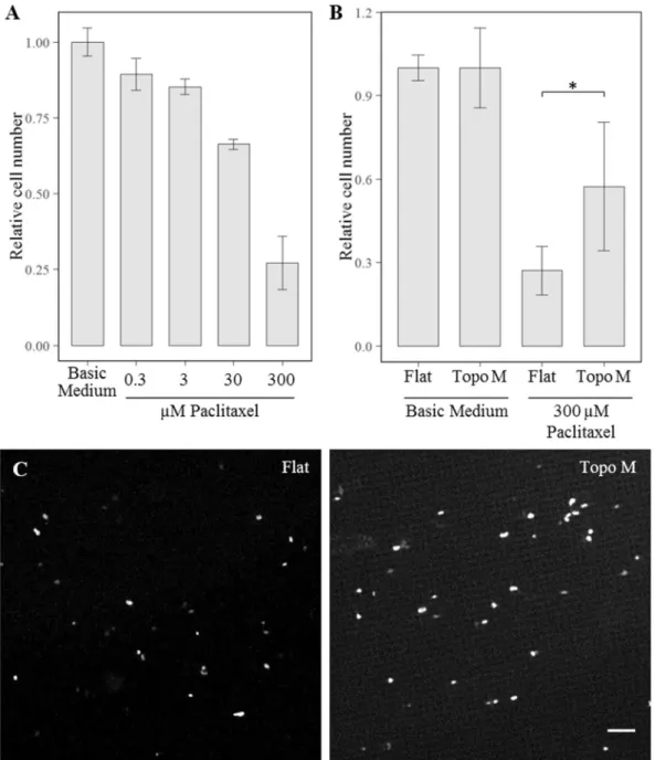 Figure 8.  Surface topography adapted hMSCs are more resistant to anti-cancer drugs. (A) dose-response  curve of MSC survival after a 44 hours paclitaxel treatment (N  =  3)