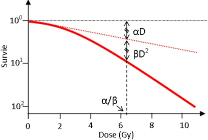 Figure 1.3 – Courbe de survie décrite par le modèle linéaire quadratique