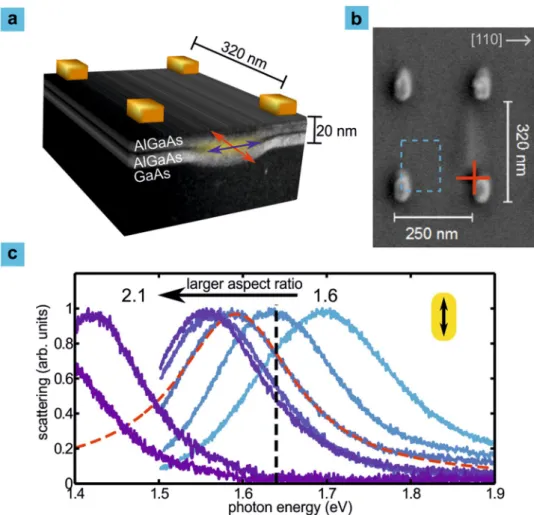 Figure 1.  Excitons in GaAs quantum dots couple to plasmons in a rectangular array of gold nanorods