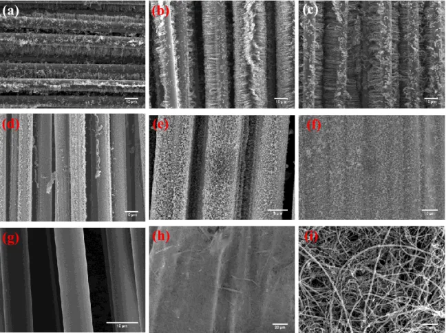 Figure  4.  SEM  images  of  the  glass  fiber  fabrics  containing  CNTs  of  varied  mass  fractions