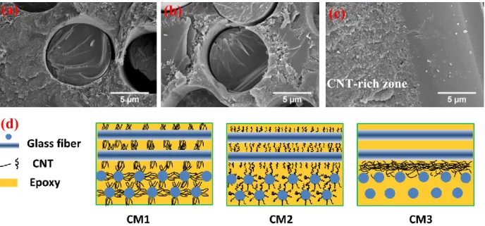 Figure 8. SEM images of the microstructures of the composites CM1-6 (a), CM2-6 (b) 