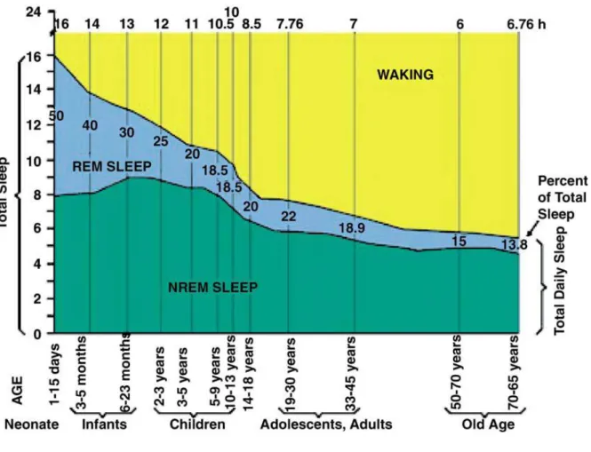 Figure 5: Sleep becomes shorter with age (from reference 57   with permission)  