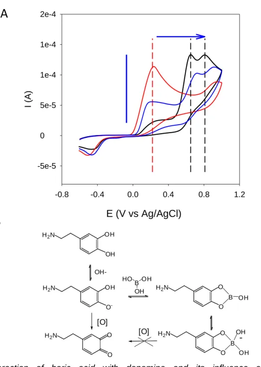 Fig.  3:  Interaction  of  boric  acid  with  dopamine  and  its  influence  on  the  electrochemical behavior of dopamine