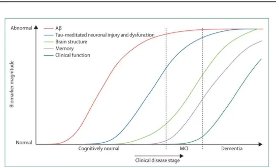 Figure 1.2: Hypothetical model of Alzheimer's disease based on the amyloid cascade hypothesis (from [Jack et al., 2010a]).