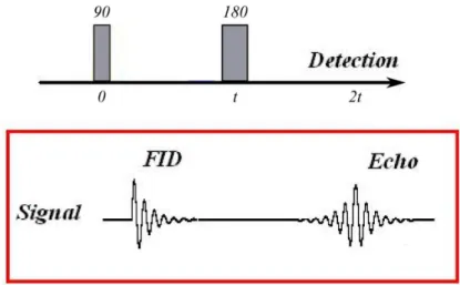 Figure 3.1: Spin Echo pulse sequence showing the Free Induction Decay (FID) af- af-ter the 90 o RF pulse and the Echo signal after the 180 o RF pulse