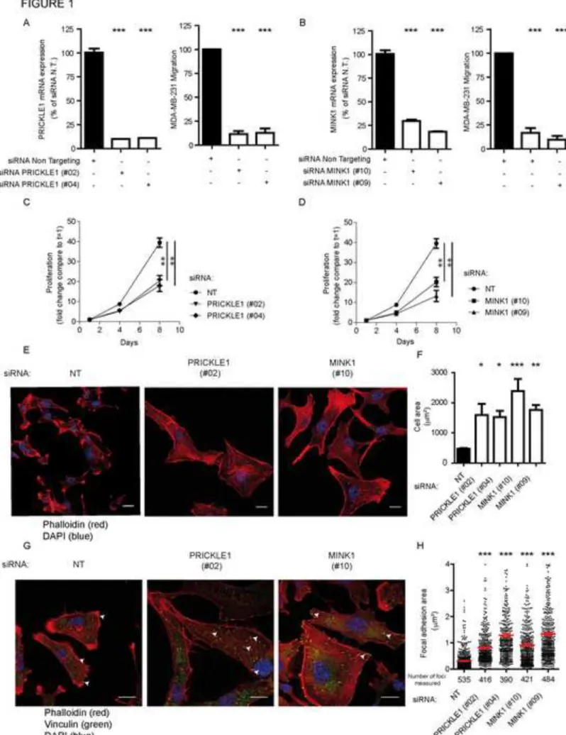 Figure 1 Click here to download Figure FIG 1.tif 