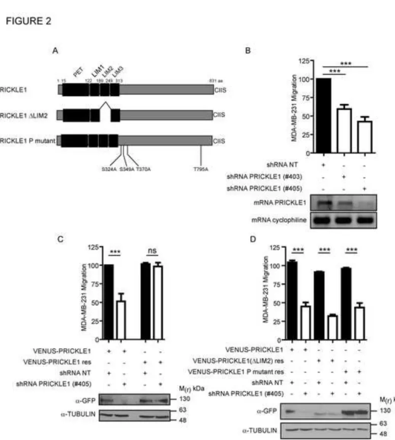 Figure 2 Click here to download Figure FIG 2.tif 