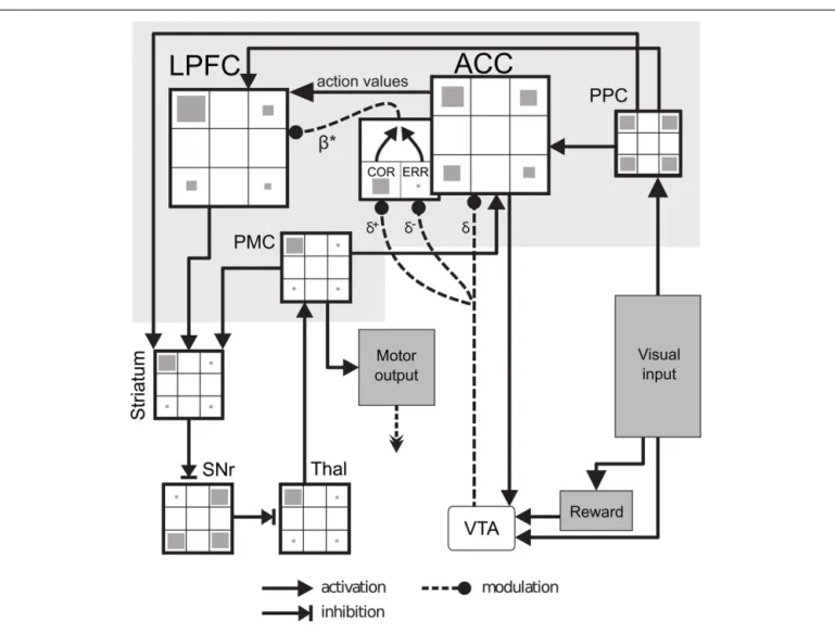 FIGURE 5 | Neural-network model. Visual input (targets seen on the screen or cubes on the table) is sent to the posterior parietal cortex (PPC)