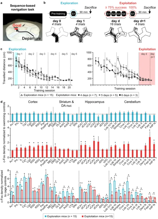 Figure 1.  Behaviour and activation patterns across exploration and exploitation of sequence-based memory