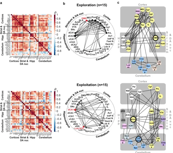 Figure 2.  Functional network of the acquisition of a sequence-based memory. (a) Inter-regional correlation  matrices for exploration (top) and exploitation (bottom) mice, each normalized to their respective controls