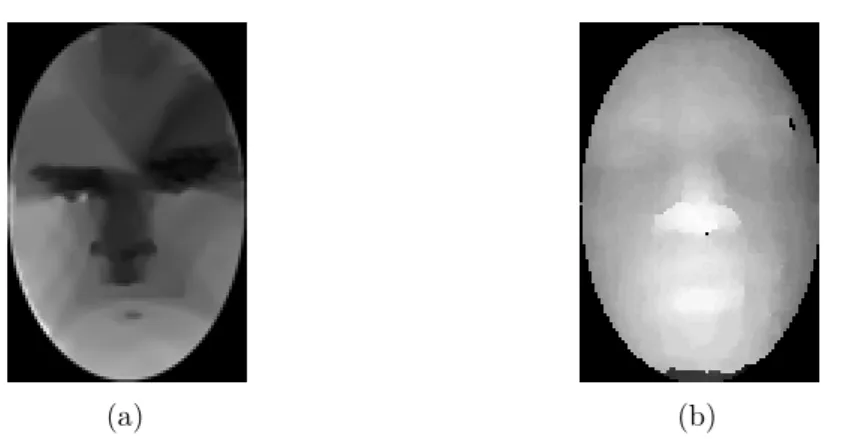 Figure 4.6 – Examples of depth image: 4.6a Lytro Illum, 4.6b PrimeSensor Kinect V1 4.6.1 Signal to noise ratio and precision