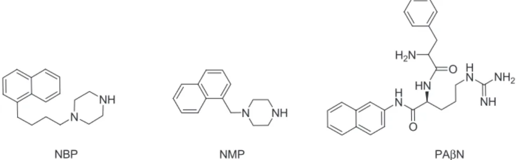 Fig. 1. Structure of some potent efﬂux pump inhibitors.