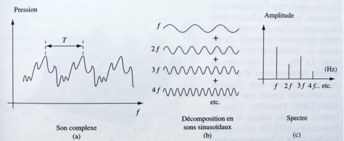 Figure 6 : Représentation de la décomposition en harmonique d‟un son complexe et  établissement de son spectre (6) 