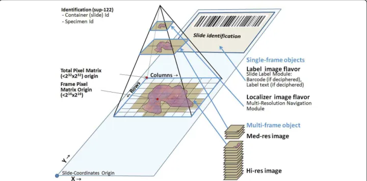 Figure 2 Whole Slide Image Information Object Definition (WSI IOD) from DICOM supplement 145 proposes storing tiles from a multi resolution hierarchy in multi-frame object(s)